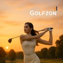 골프존 나이스 스크린 골프 연습장 이미지