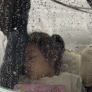 (주)레이싱조이 | 원흥 키즈카페 메가플레이 키즈파크, 무제한키카에서 삼남매 하루종일 놀기