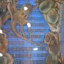 대천항로 이미지