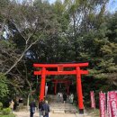 비비추공원 | 후쿠오카 3박4일 11월 여행 후기(3) /다자이후-텐진 <와카바>-크리스마스 마켓 -덴푸라-하카타광장...