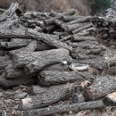 산장농원 - 화성시 | 산장농원