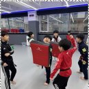 미르태권도장 이미지