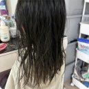 벗님헤어 | 미용실 단백질 샴푸 대용량 극손상 머리 3주 케어 후기