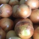 소망건강원 이미지