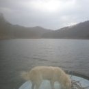 진국이찔레네 이미지