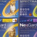 원주동물약국 이미지