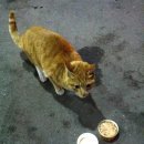 새한세차장 이미지