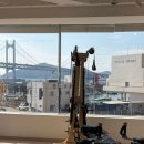 라임필라테스 - 수영구 광안해변로344번길 17-3 | 몸의 균형을 되찾다, 부산 라임 필라테스 & 자이로토닉 후기