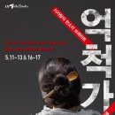 이자람의 억척가 이미지