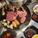 처음본명품민물장어 이미지