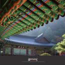 오대산 곤드레밥 이미지