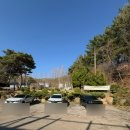 T-5 | 익산 나만 알고 싶은 벚꽃 명소 대형카페 갤러리T 내돈내산 솔직 후기