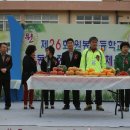 원봉초등학교 이미지