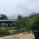 꽃사슴 민박 이미지