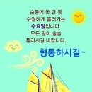 담사이 이미지