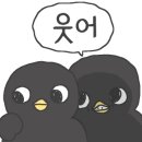 정가짬뽕 이미지