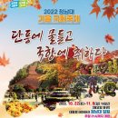 10월30일(일) 월영산 출렁다리+청남대 국화축제 이미지