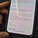 스페인어 회화 | 매일11시 스페인어 후기 - 카톡으로 하는 스페인어 회화 3개월 사용 후기