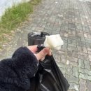 달구벌떡집