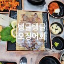 청춘회랑 이미지