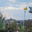 다올stay