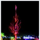 코리아플라워파크 이미지