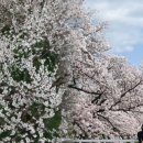 웅동수원지 이미지