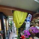 양곡꽃집 | [부천 상동 꽃집] LG 휘센 천장형 4way 에어컨 청소 후기