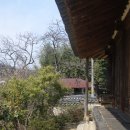 섬진강 물길 | 3월 가볼만한 곳! 구례 지리산 자락이 내어준 가장 따뜻한 품 "타인능해의 운조루 고택"