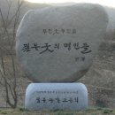 플로라펜션민박