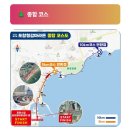 마라톤펜션 | 2026년 제10회 포항 철강 마라톤 10km 완주 후기