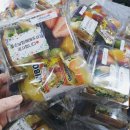 노은초교 병설유치원 이미지