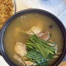 김포 애견동반식당 닭향 | 백숙집 솔직 후기 (개별룸, 애견운동장)