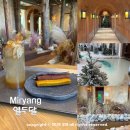 Point-봄의 향 | 밀양 대형카페 열두달 영남루 근처 실내 베이커리 카페