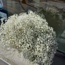 엘에프팜 이미지