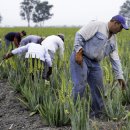 이병훈농장 이미지