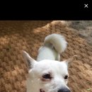 석관중학교 인근 이미지