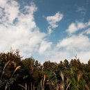 남원읍-20 이미지