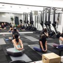 와드 피티 스튜디오 이미지