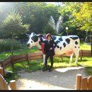 연서목장 이미지