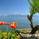 1542 Daum카페
