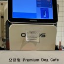 으르렁애견카페 | 파주 운정 으르렁 애견카페 후기