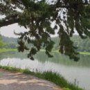 은파호수공원 9-6 이미지