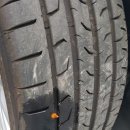 타이어판다 이미지