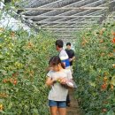 석민농장 이미지