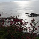 사화로-1 이미지