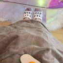 와이즈랩 이미지