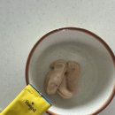 굿참치 | 기호성 굿 !! 비마이펫 삼색츄 스틱 참치맛 후기