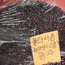 오뚜기떡방앗간 이미지