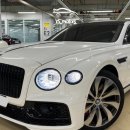 YS모터스 이미지